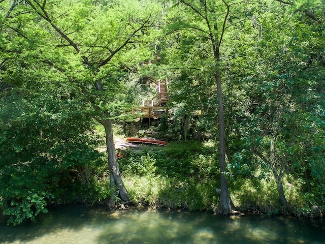 view of local wilderness with a water view