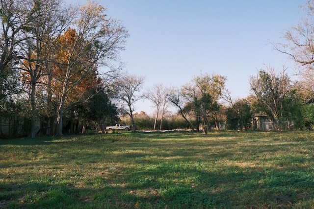 600 Rubio Ave, Round Rock, TX 78664 - photo 2