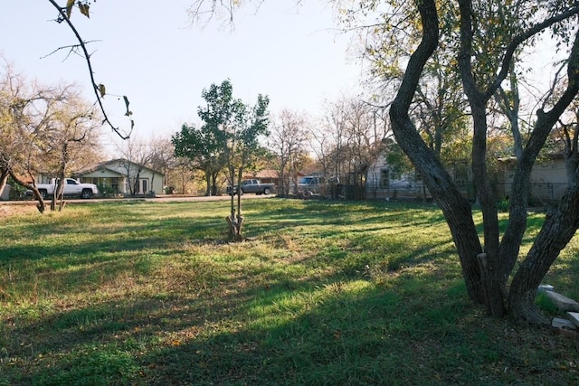 600 Rubio Ave, Round Rock, TX 78664 - photo 8