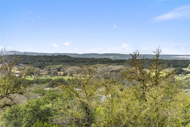 108 Quail Pt, Spicewood TX, 78669 land for sale