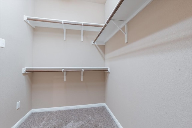 walk in closet with carpet flooring