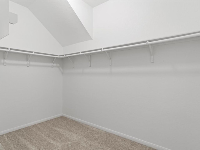 walk in closet featuring carpet and lofted ceiling