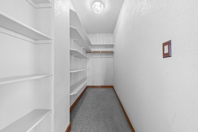 walk in closet with carpet flooring