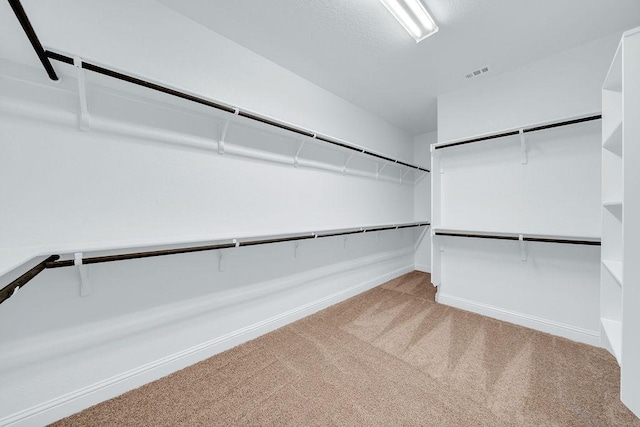 413 Canton Chase, Cibolo, TX 78108 - walk in closet with carpet flooring