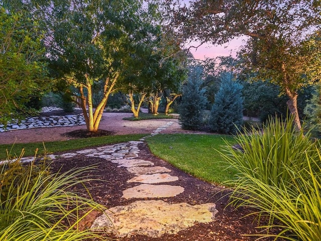 view of yard at dusk