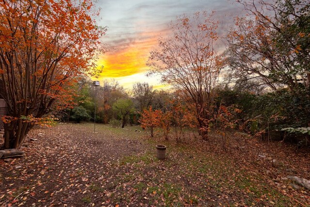 view of yard at dusk