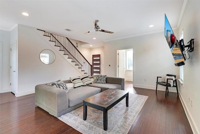 living room featuring dark hardwood / wood-style floors, ceiling fan, and crown molding