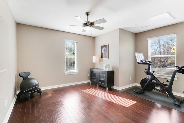 exercise area with a wealth of natural light, dark wood-type flooring, and ceiling fan