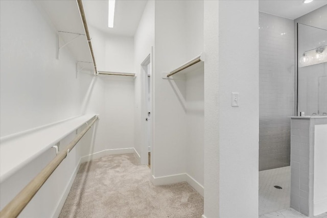 walk in closet with light carpet