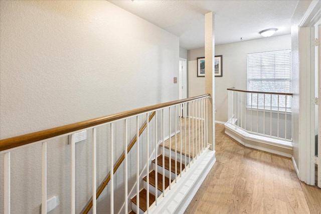 hall with light hardwood / wood-style flooring