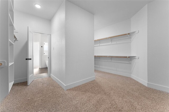 walk in closet with carpet floors