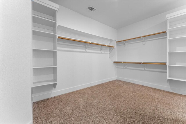 walk in closet featuring carpet floors