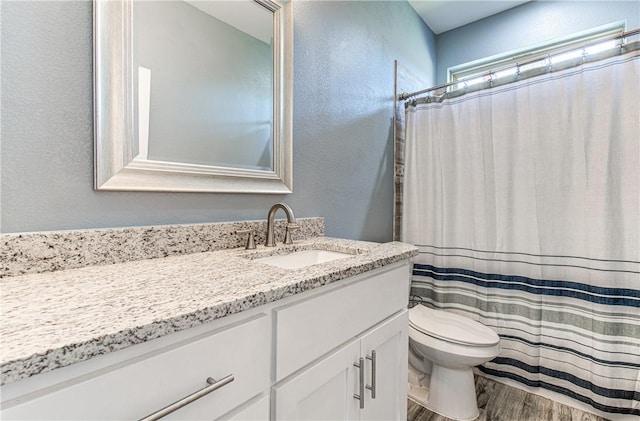 bathroom with vanity, toilet, and wood-type flooring