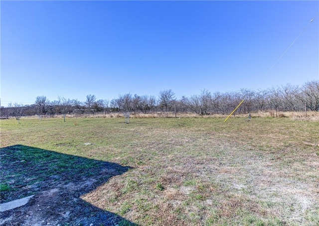 view of yard with a rural view