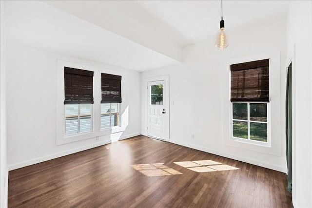 interior space with a healthy amount of sunlight and dark hardwood / wood-style flooring