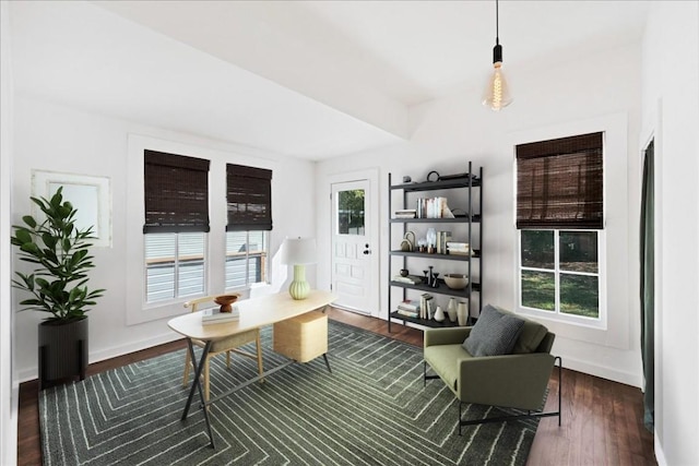 living area with dark hardwood / wood-style flooring