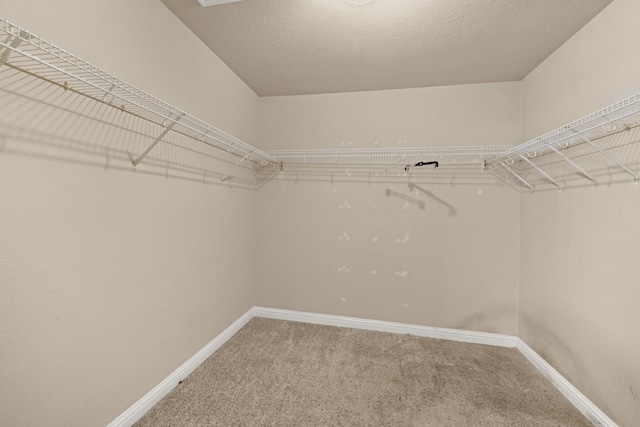 walk in closet featuring carpet