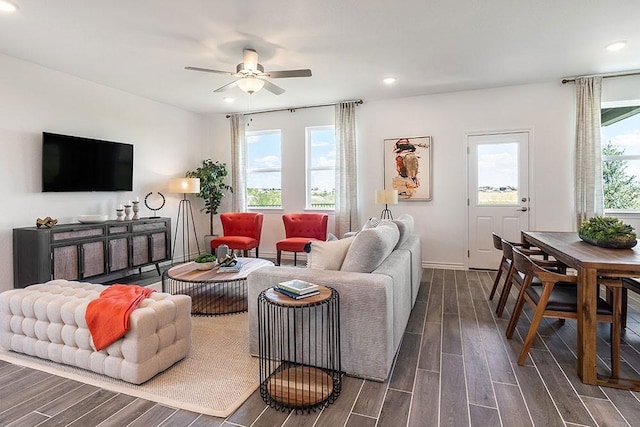 living room with ceiling fan and dark hardwood / wood-style flooring