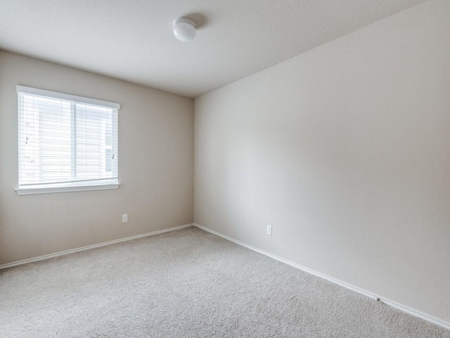 spare room with carpet floors