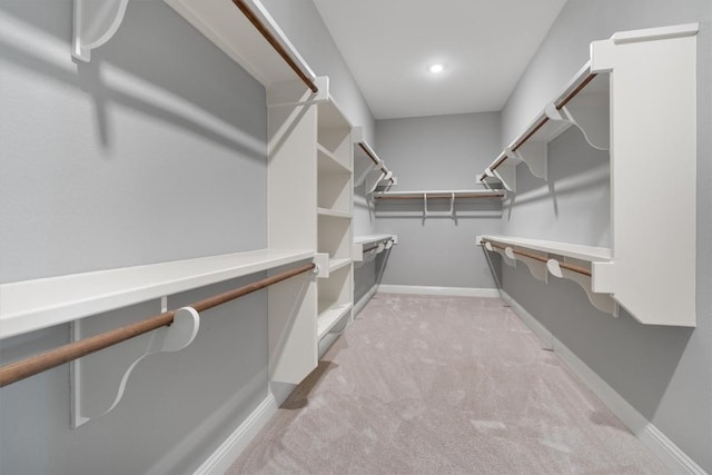 spacious closet with light carpet