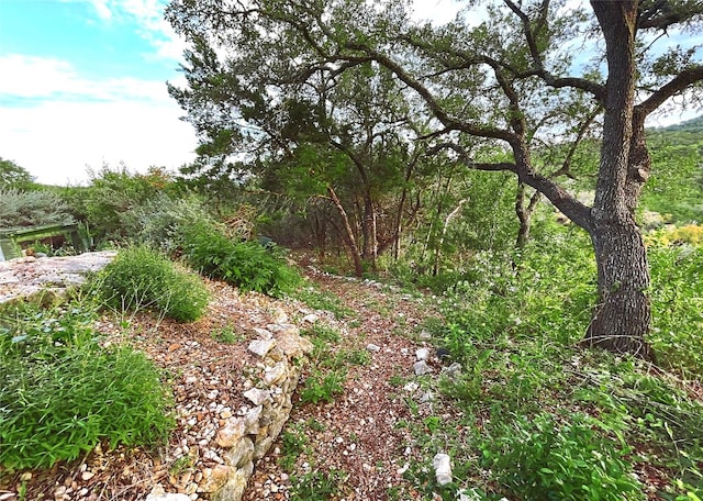 view of landscape