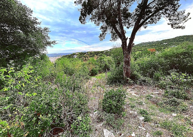 view of nature featuring a mountain view