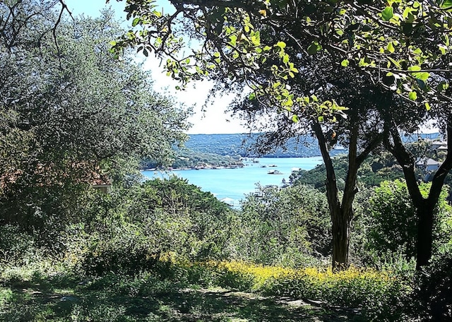 view of water feature