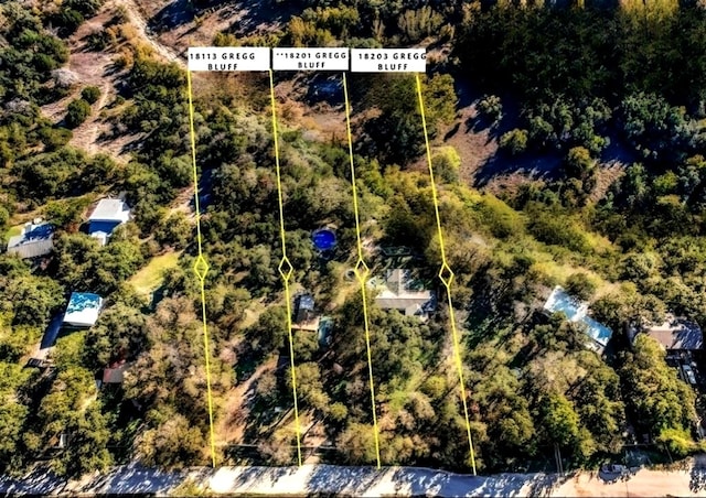 18203 Gregg Bluff Rd, Jonestown, TX 78645 - photo 40