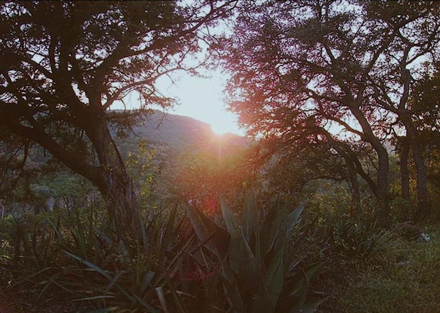 view of local wilderness with a mountain view