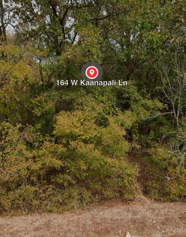 162 W Kaanapali Ln, Bastrop, TX 78602