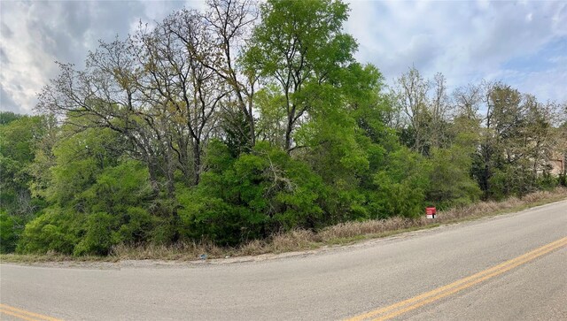 162 W Kaanapali Ln, Bastrop, TX 78602