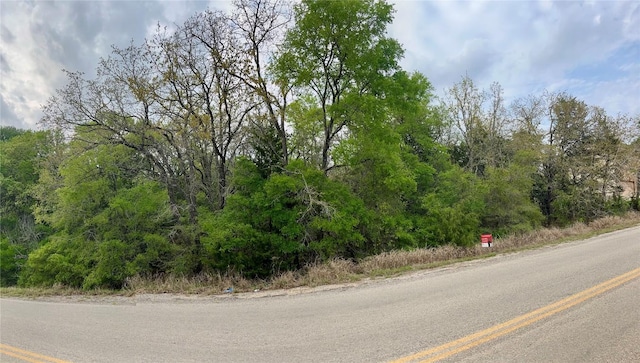 162 W Kaanapali Ln, Bastrop, TX 78602