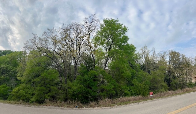 162 W Kaanapali Ln, Bastrop, TX 78602