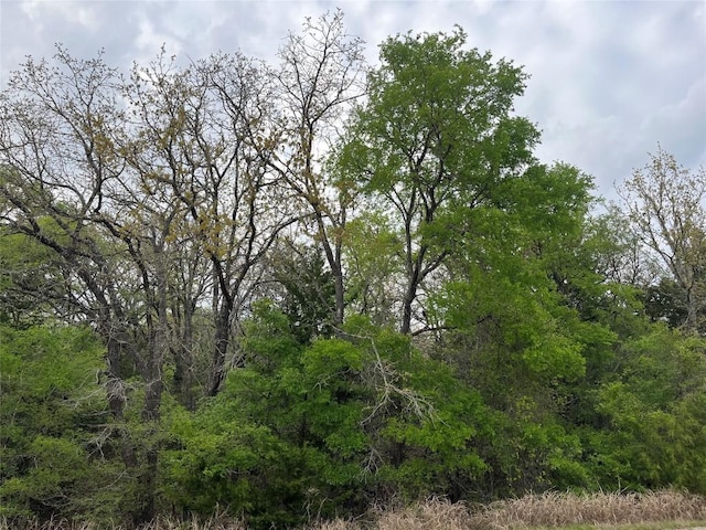 162 W Kaanapali Ln, Bastrop, TX 78602