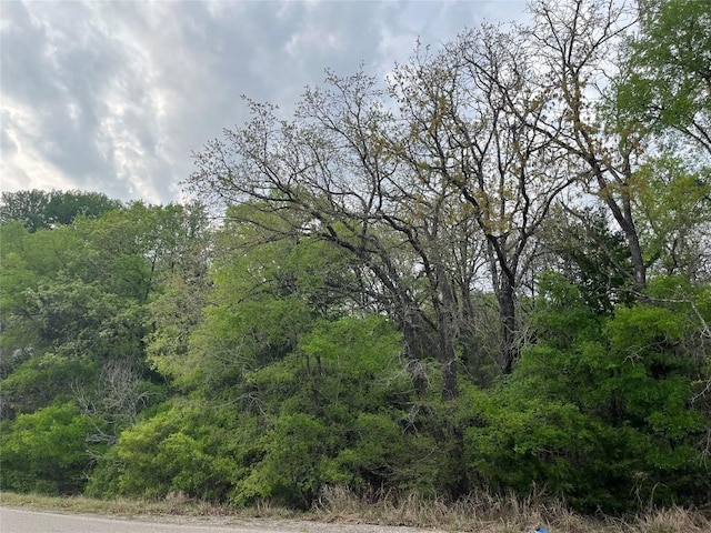 162 W Kaanapali Ln, Bastrop, TX 78602
