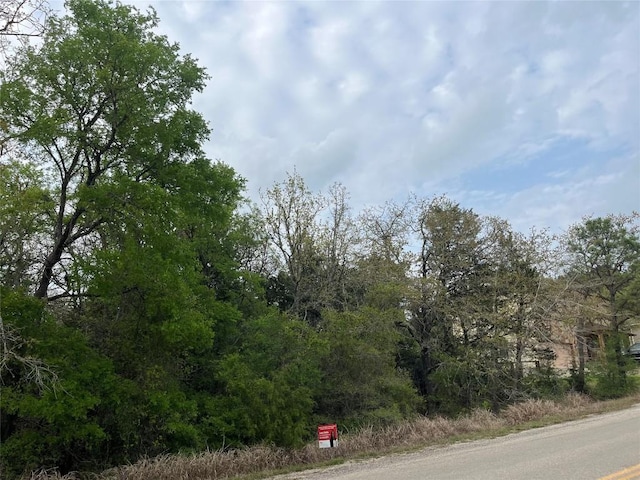 162 W Kaanapali Ln, Bastrop, TX 78602