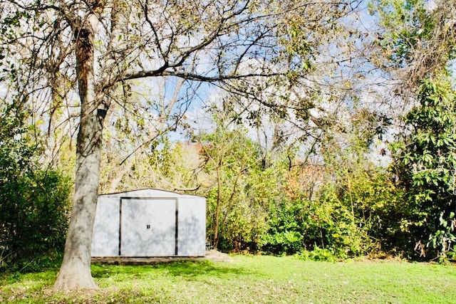 4704 Gonzales St, Austin, TX 78702 - view of grassy yard with a storage unit