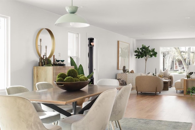 dining room featuring wood finished floors