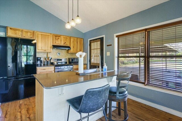 kitchen with a kitchen breakfast bar, pendant lighting, vaulted ceiling, a kitchen island with sink, and appliances with stainless steel finishes