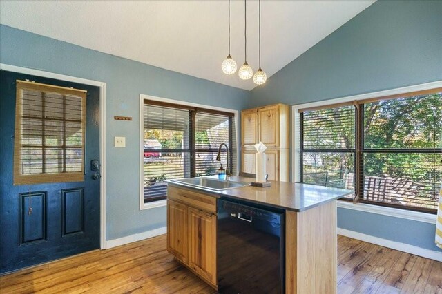 kitchen with black dishwasher, plenty of natural light, a kitchen island with sink, and sink