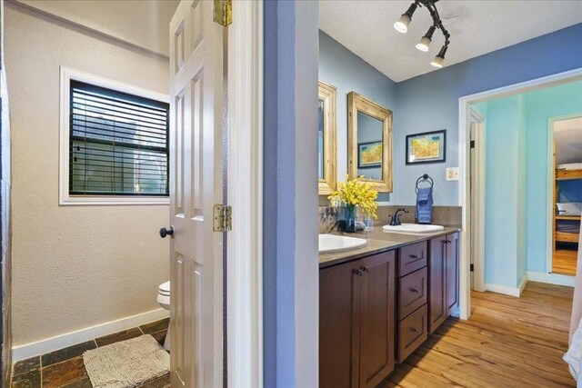 bathroom with wood-type flooring, vanity, and toilet