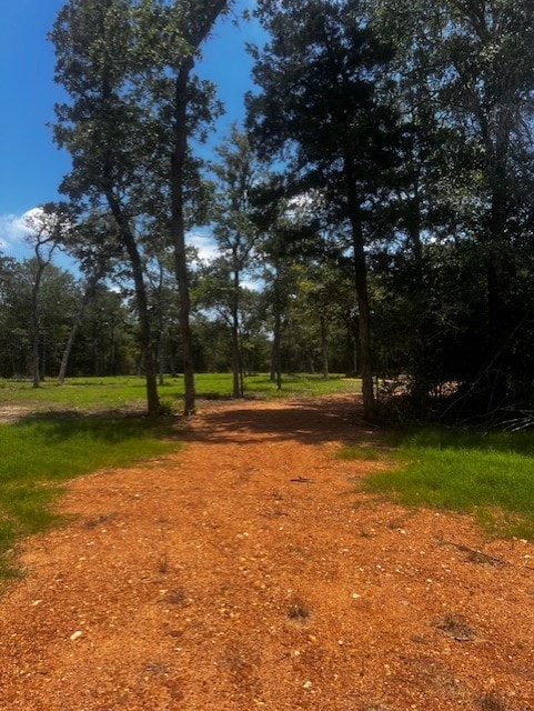 4605 Krischke Rd, Schulenburg TX, 78956 land for sale