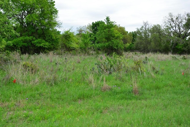 Listing photo 3 for TBD Rustic Trail, Salado TX 76571