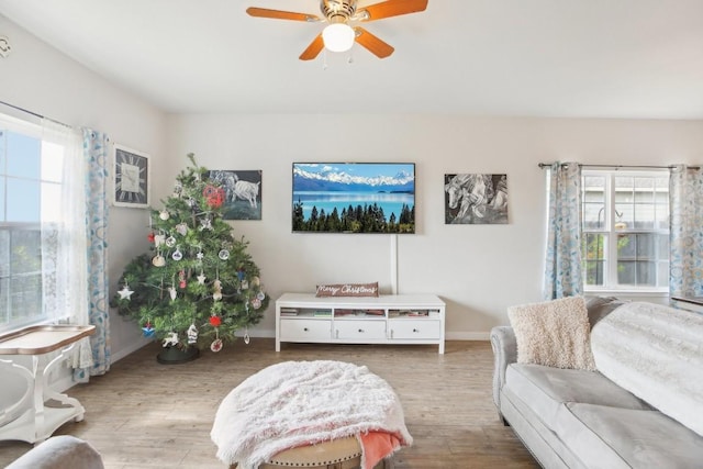 living room with ceiling fan and light hardwood / wood-style flooring