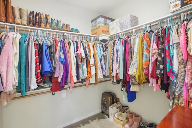 spacious closet with carpet