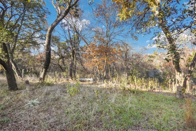 view of landscape