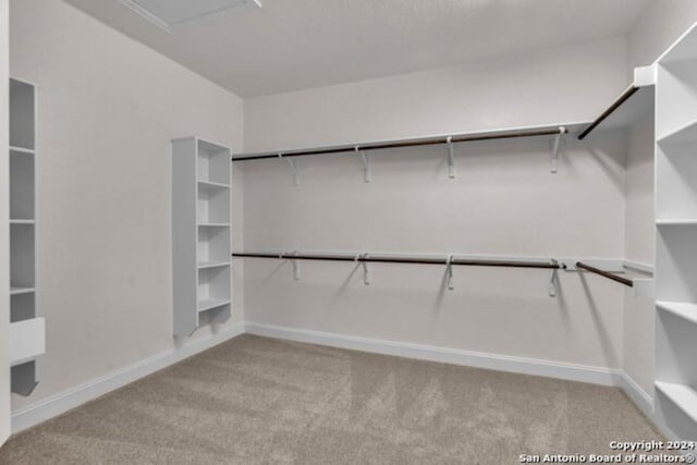 209 Filmore Fls, Cibolo, TX 78108 - walk in closet featuring carpet flooring