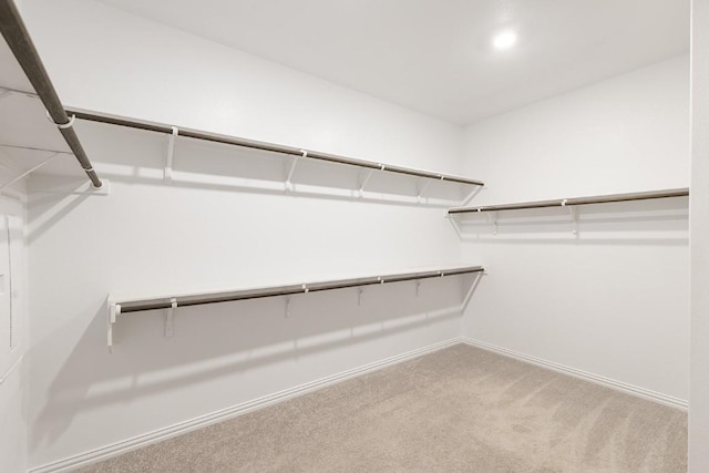 spacious closet featuring carpet