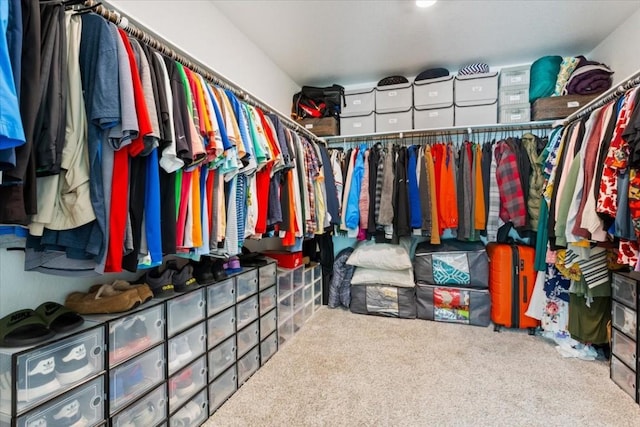 walk in closet featuring carpet floors