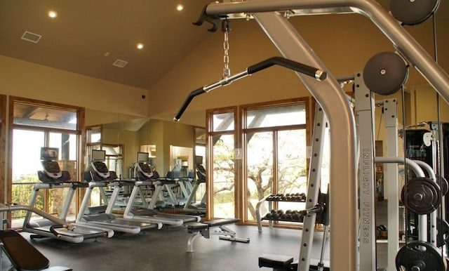 exercise room featuring a wealth of natural light and high vaulted ceiling